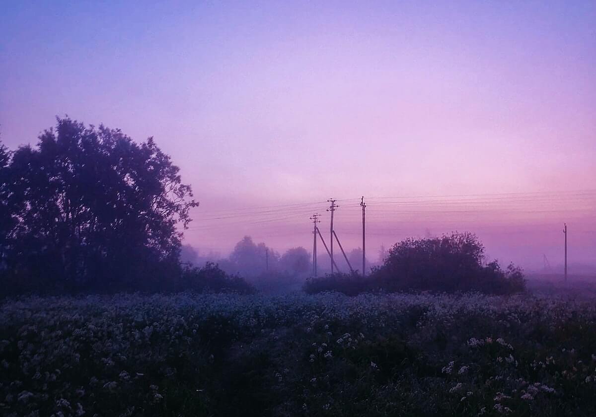 jiuyou-九游体育下载:掌上竞技世界,一键开启你的专属体育旅程